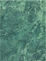 Каменный цветок зел. спутник